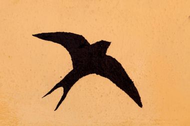 Gün batımı gökte uçan şirin kırlangıç kuşu silüeti