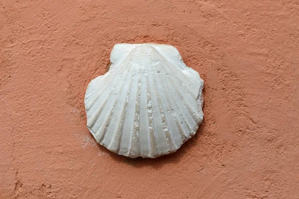 White Shell Pilgrim Scallop Red Wall Symbol James Path — Stock Photo, Image