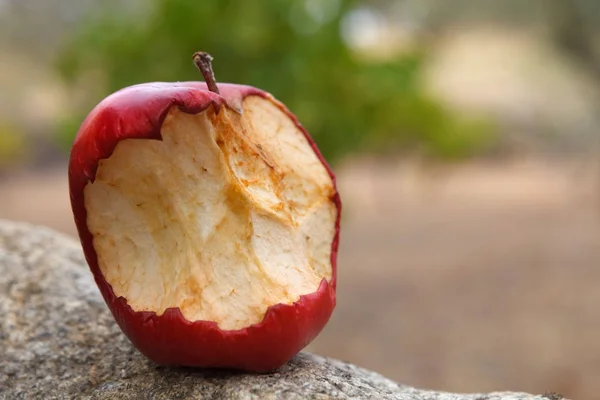 Gebeten Rode Appel Steen Close — Stockfoto