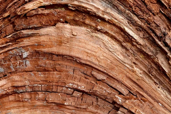 Abstract Wooden Texture Brown Wood Closeup — Stock Photo, Image