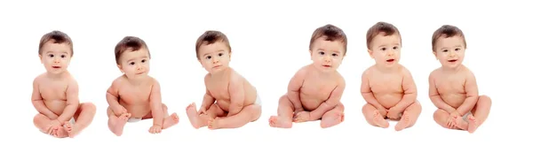 Seven Equal Babies Sitting Floor Isolated White Background — стоковое фото