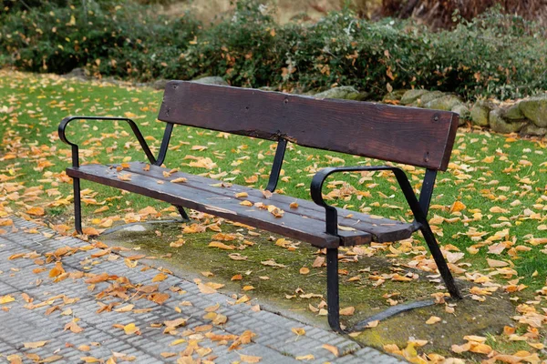 Old bench in autumn park — Stock Photo, Image