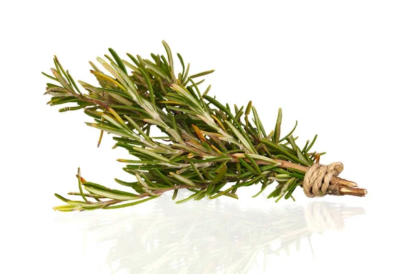 Rosemary Branch Isolated White Background — Stock Photo, Image