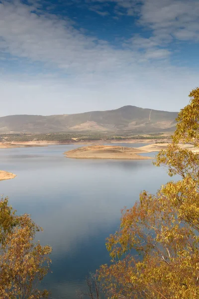 Schöne Flusslandschaft Mit Eichen Die Sich Wasser Spiegeln — Stockfoto