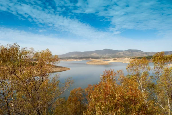 Schöne Flusslandschaft Mit Eichen Die Sich Wasser Spiegeln — Stockfoto