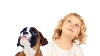 uzun sarı saçlı ve beyaz arka plan üzerinde izole köpek küçük çocuk portresi