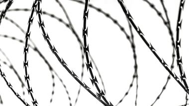 çit dikenli tel beyaz arka plan üzerinde izole ile