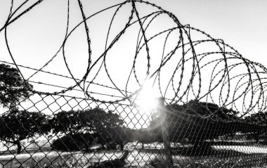 çit dikenli tel ve gökyüzü, closeup ile 