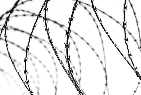 fence with barbed wire  isolated on white background