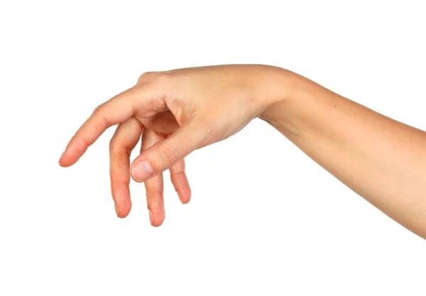 Female Hand Isolated White Background — Stock Photo, Image