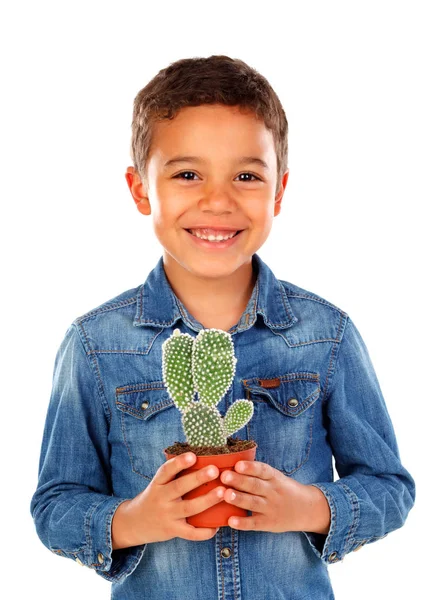 Söt Glad Lilla Afrikanska Pojken Jeansskjorta Holding Cactus Isolerad Vit — Stockfoto