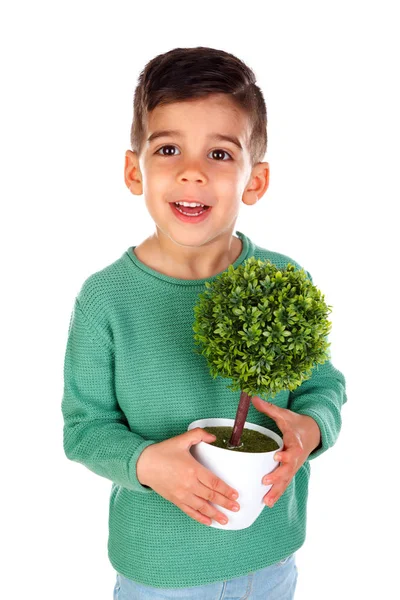 Glimlachend Jongetje Groene Kleren Houden Potplant Geïsoleerd Witte Achtergrond — Stockfoto