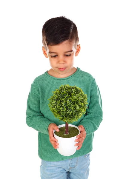 Garotinho Sorridente Roupas Verdes Segurando Planta Pote Isolado Fundo Branco — Fotografia de Stock