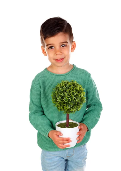 微笑的小男孩在绿色衣裳举行盆栽植物隔绝在白色背景上 — 图库照片