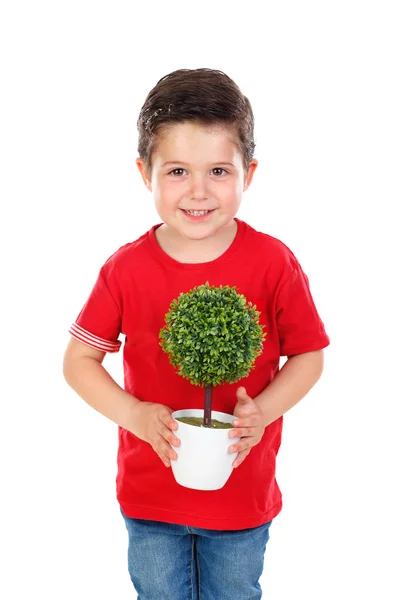 Ευτυχισμένο Χαριτωμένο Αγόρι Κόκκινο Μπλουζάκι Κρατώντας Πράσινο Φυτό Που Απομονώνονται — Φωτογραφία Αρχείου