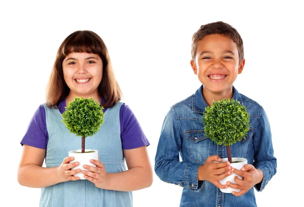 Szczęśliwe Dzieci Trzymając Małe Drzewa Koncepcja Opieka Środowiska — Zdjęcie stockowe
