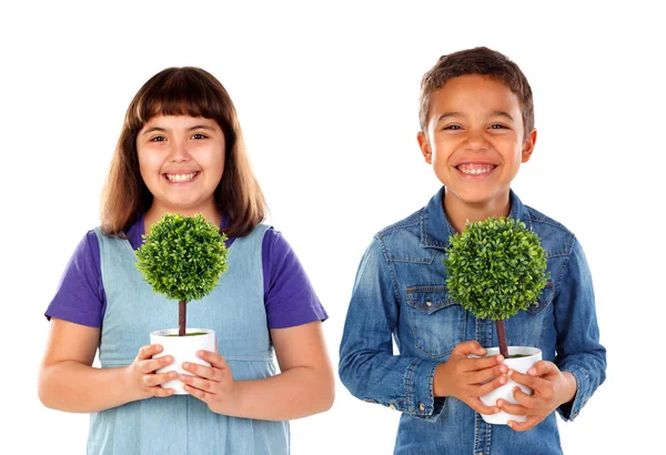 Bambini Felici Che Tengono Piccoli Alberi Concetto Cura Dell Ambiente — Foto Stock