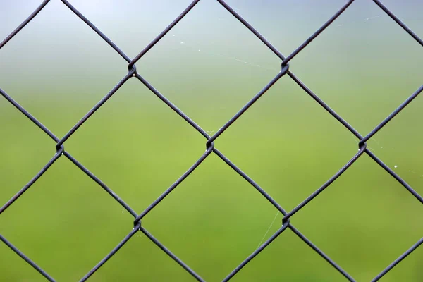 Cerca Arame Fechar Com Fundo Verde — Fotografia de Stock