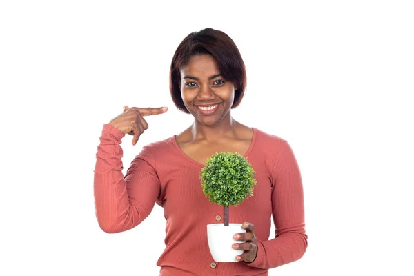 Entzückende Afrikanische Frau Mit Rosa Shirt Auf Weißem Hintergrund — Stockfoto