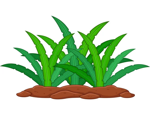 Plante Verte Sur Fond Blanc — Image vectorielle
