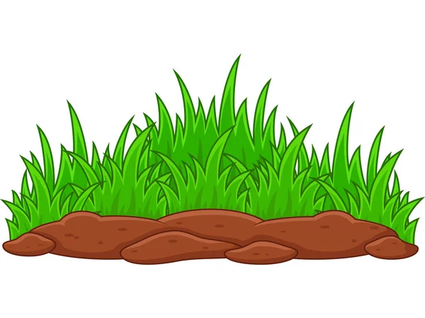 Planta Verde Sobre Fondo Blanco — Vector de stock