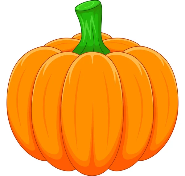 Vector Illustration Cartoon Pumpkin — Stock Vector