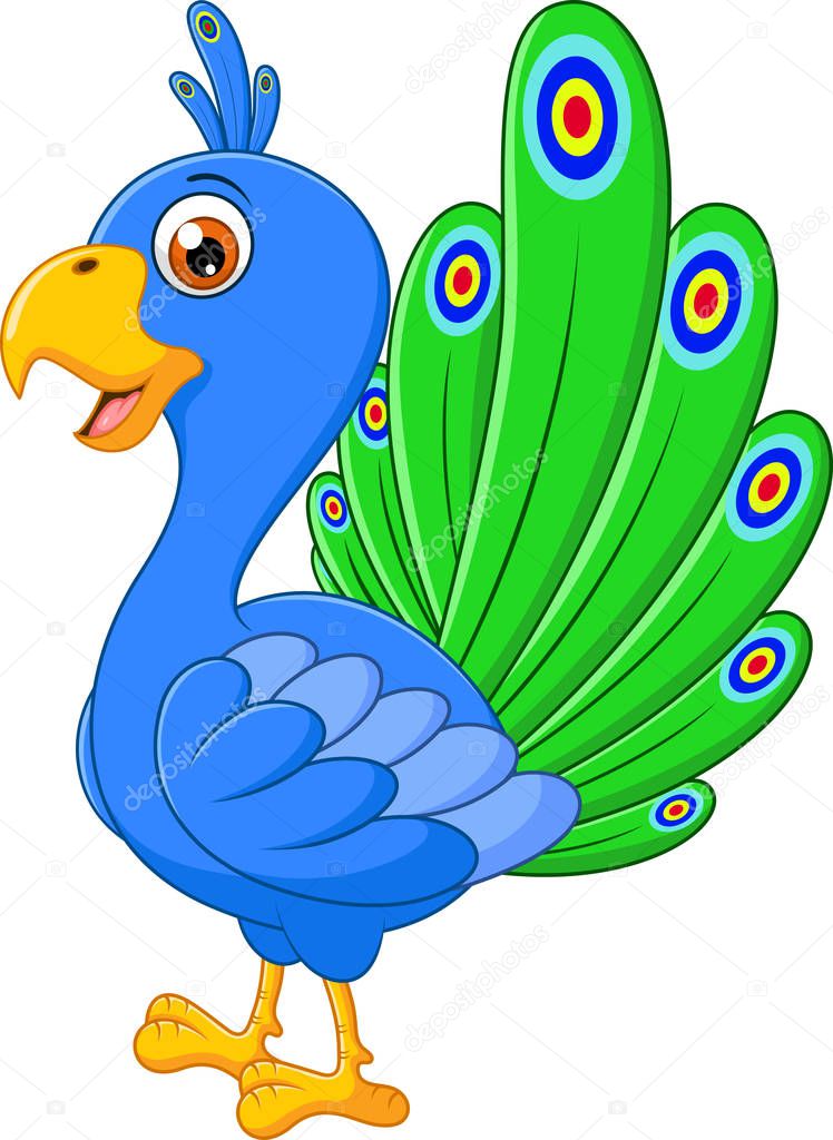 Peacock cartoon on white background