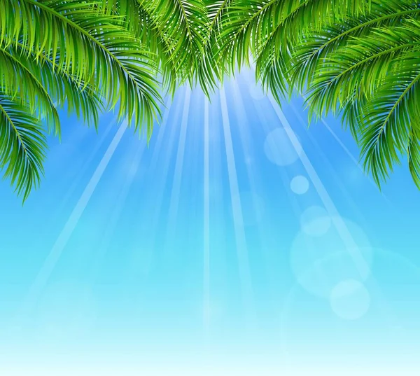 Palm Leaf Blue Sky Bright Sun — Stock Vector