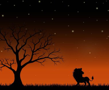 Gece arka plan üzerinde bir aslan duran silüeti