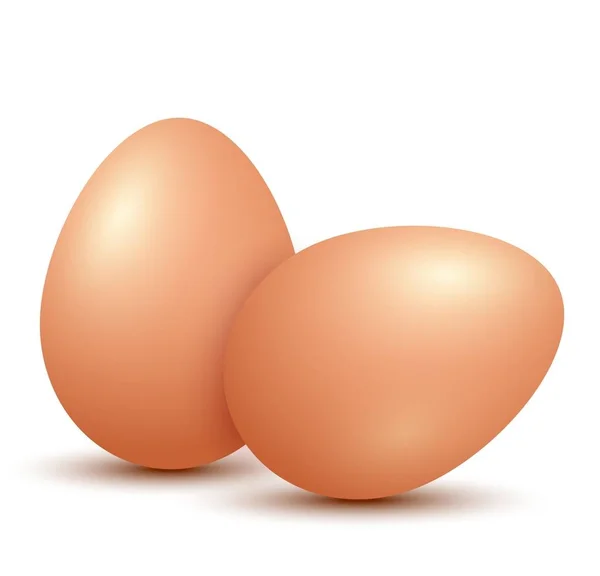 Huevos Pollo Sobre Fondo Blanco — Vector de stock