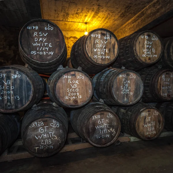 Port wine barrels in cellar