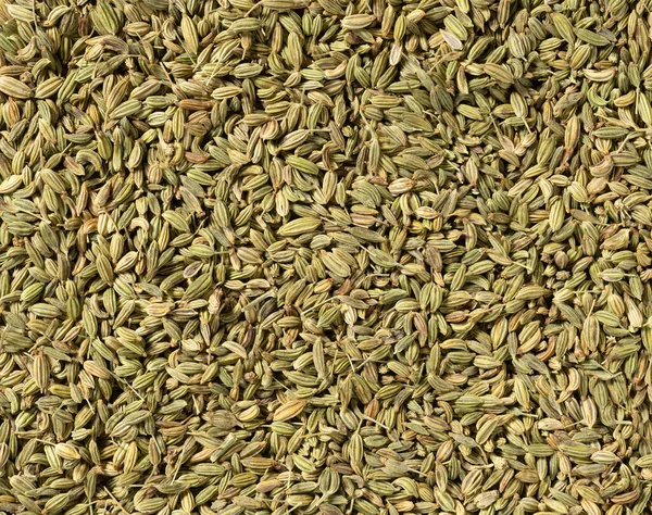 Fennel Seeds Background Texture — Stock Photo, Image