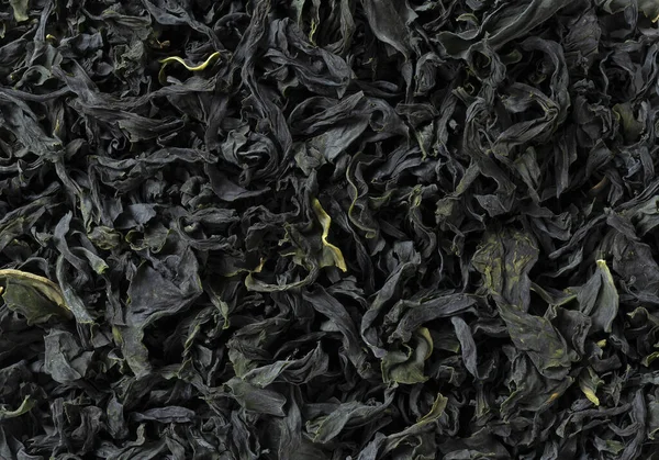 Dried Seaweed Background Texture — Stock Photo, Image