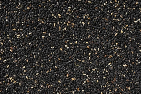 Black Sesame Background Texture — Stock Photo, Image