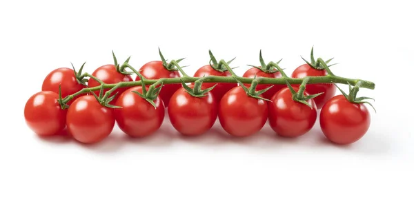 Series Fresh Petite Tomatoes White Background — Stock Photo, Image