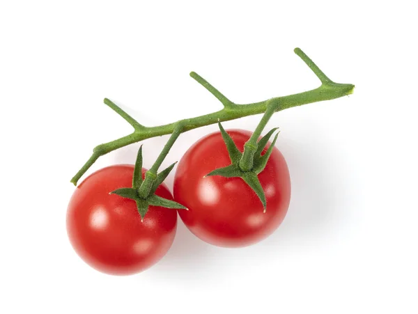 Eine Reihe Frischer Zierlicher Tomaten Auf Weißem Hintergrund — Stockfoto