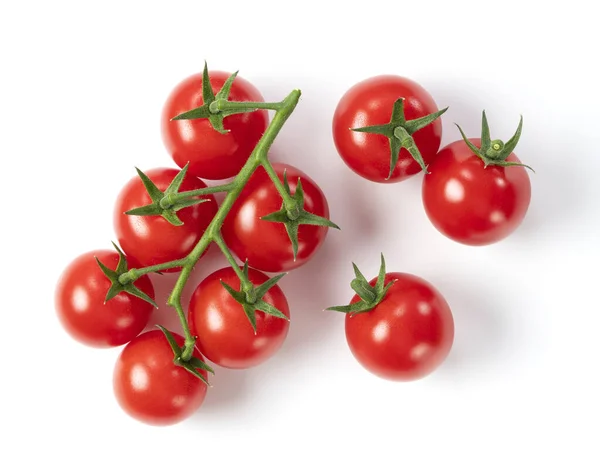 Eine Reihe Frischer Zierlicher Tomaten Auf Weißem Hintergrund — Stockfoto