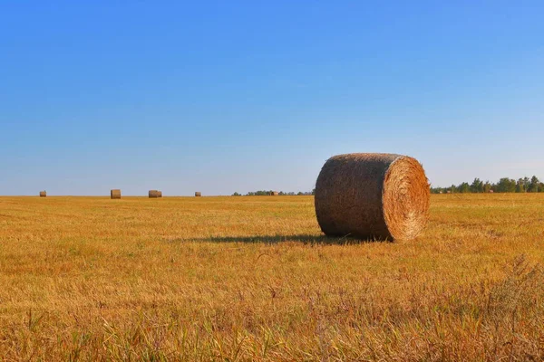 Straw stack on the field — Stock Photo, Image