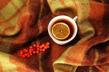 Çay limon, üvez meyveleri ve yün, İpek eşarp