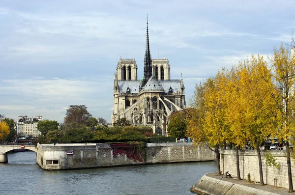 Notre Dame Katedrali — Stok fotoğraf