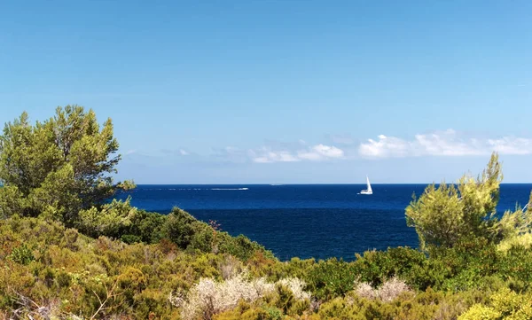 Desert Des Agriates Wybrzeża Wyspie Korsyka — Zdjęcie stockowe
