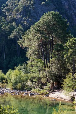 Solenzara dağ Corsica'deki / daki nehir ve bavella 