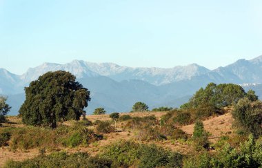 Alan Doğu düz Korsika Adası