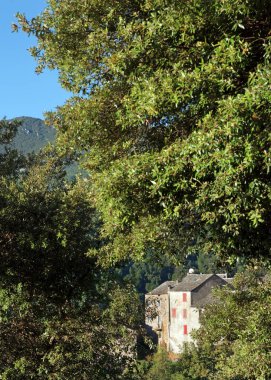 Corsica dağ köyünde Campodonico