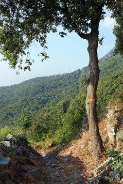 Costa verde yolda Corsica dağ