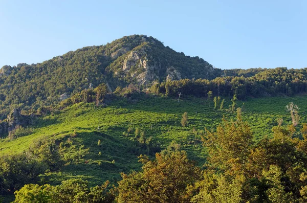 Costa verde dağ upper Corsica'deki / daki