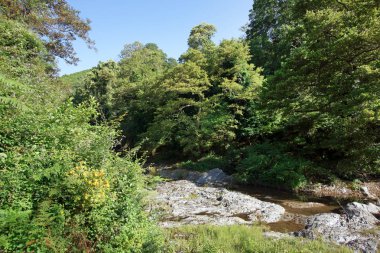 Upper Corsica dağ Bucatoggio Nehri                              