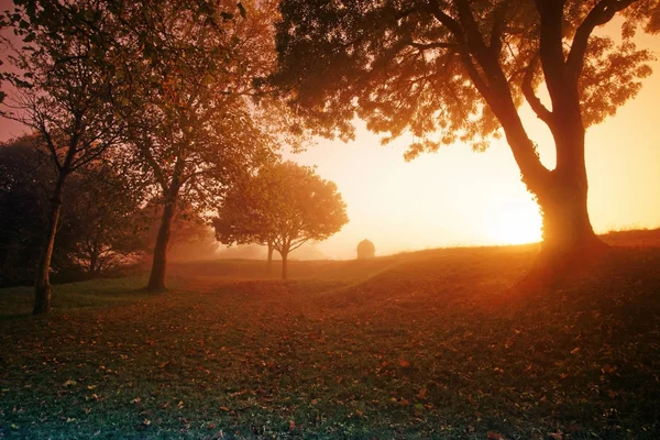 Hiers Brouage müstahkem şehir sis                  