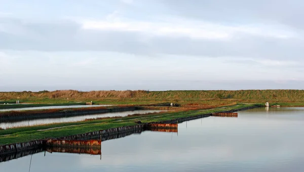 Charente deniz grupta istiridye 