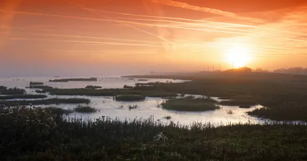 Bölgesel doğa rezerv charente nehir Haliç içinde
